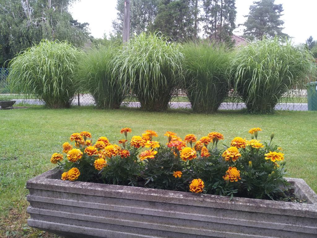 Hajas Familia Kiado Szobak Balatonmáriafürdő 외부 사진